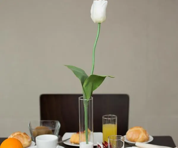 בית הארחה Garni House Majorana